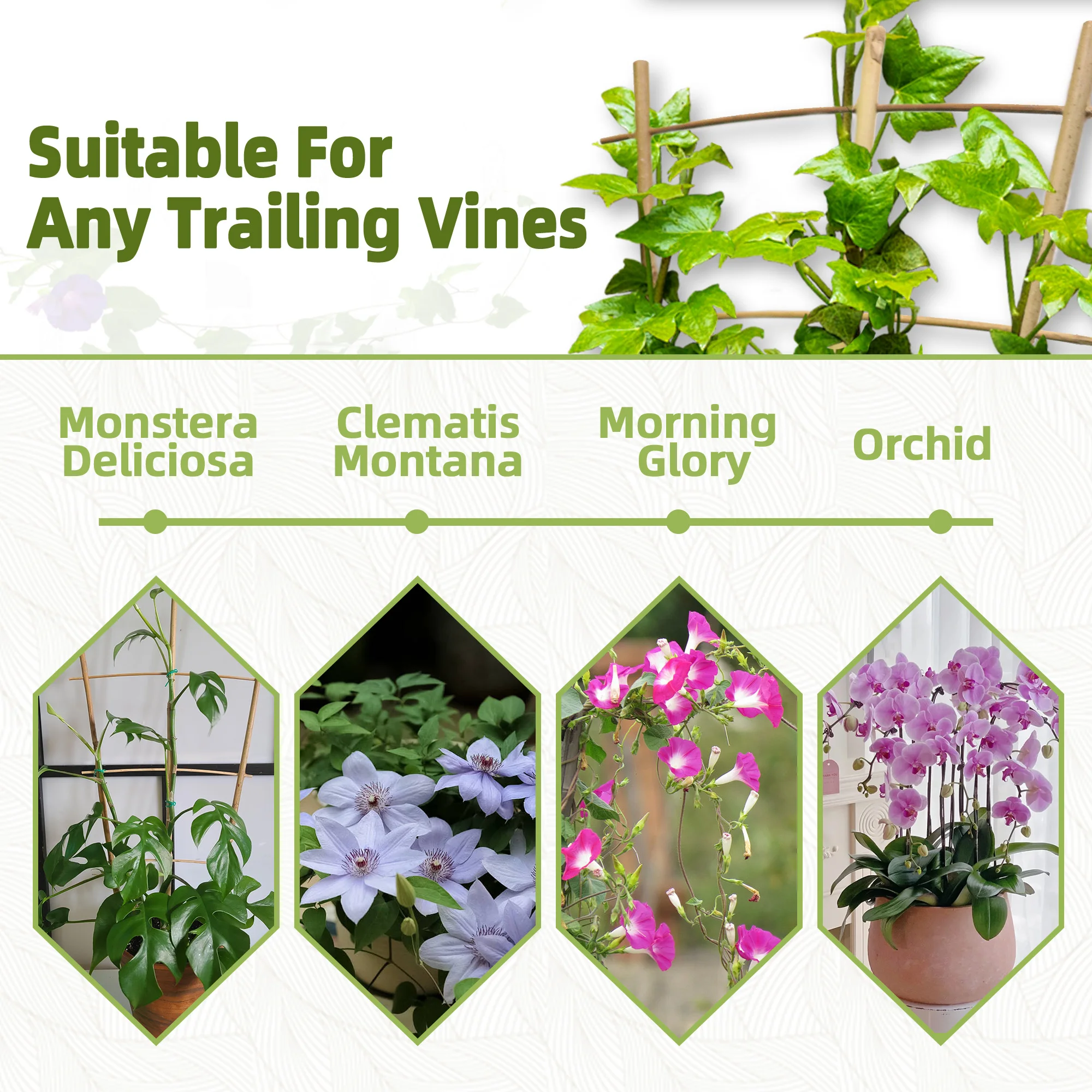 10 Pack Bamboo Trellis For Climbing Plants, 16 Inch Natural Garden Fan-shaped Plant Support Bracket, Suitable For Potted Plant D - Image 6