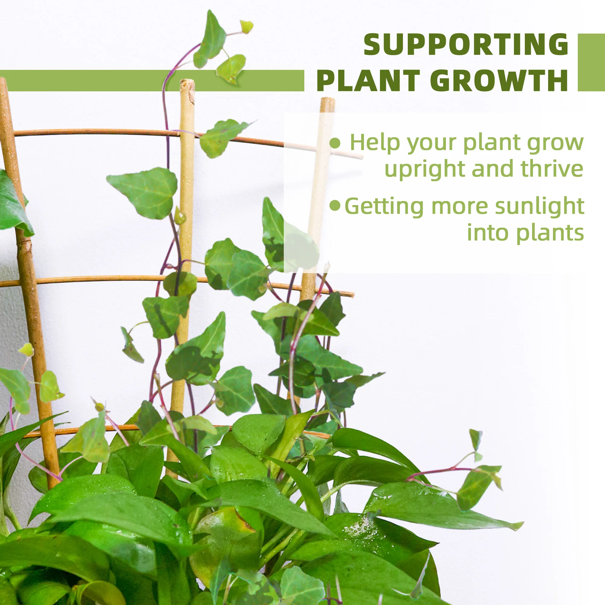 10 Pack Bamboo Trellis For Climbing Plants, 16 Inch Natural Garden Fan-shaped Plant Support Bracket, Suitable For Potted Plant D - Image 4